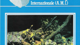 Cover Argonauta 1990 nr.4-5