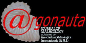 Argonauta Logo Internet