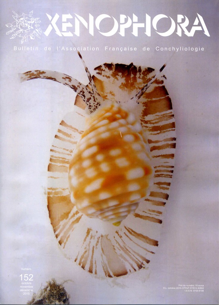 Xenophora 1